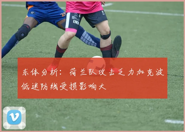 东体分析：荷兰队攻击乏力加克波低迷防线受损影响大
